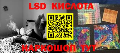 СК Бийск