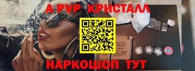 СК Бийск