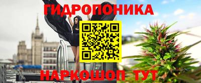 СК Бийск