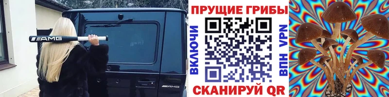 Псилоцибиновые грибы ЛСД  где продают наркотики  маркетплейс как зайти  Волжский 
