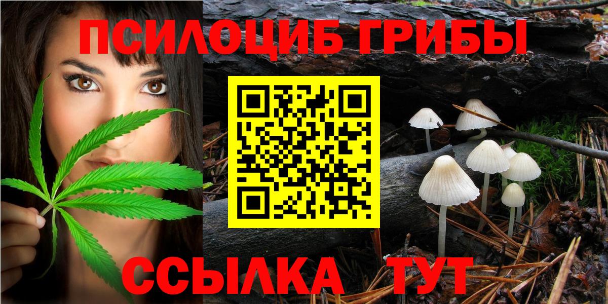 Галлюциногенные грибы GOLDEN TEACHER  Псилоцибиновые грибы Psilocybine cubensis  Волжский  Вход с VPN 